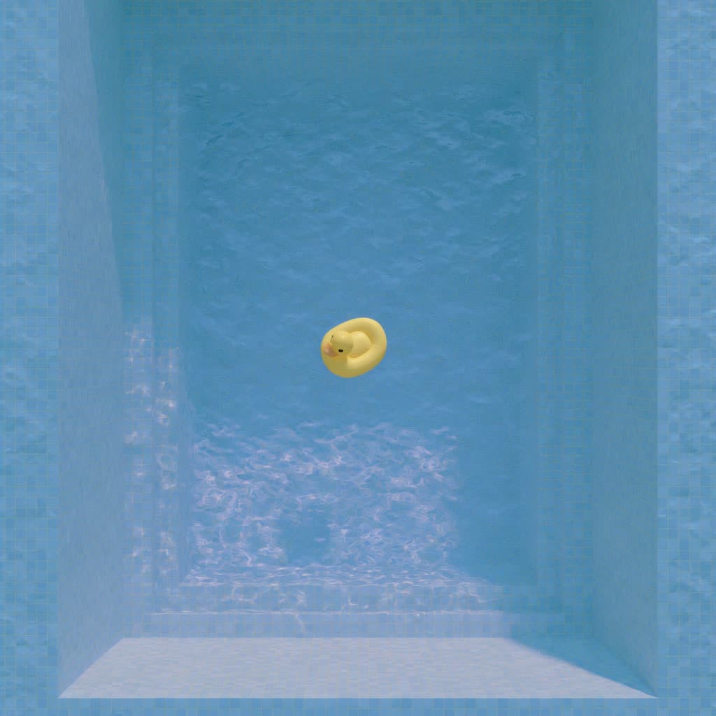 Duck in Deep Pool