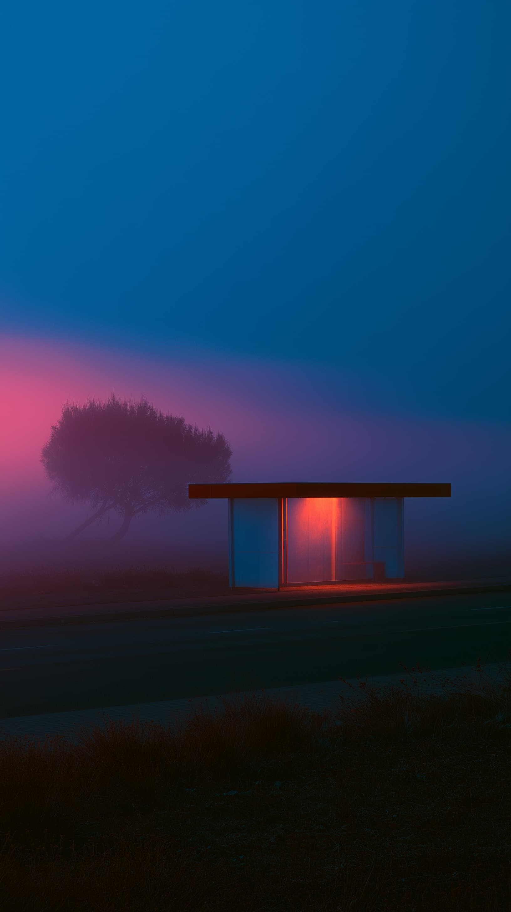 Bus Stop in Blue Fog